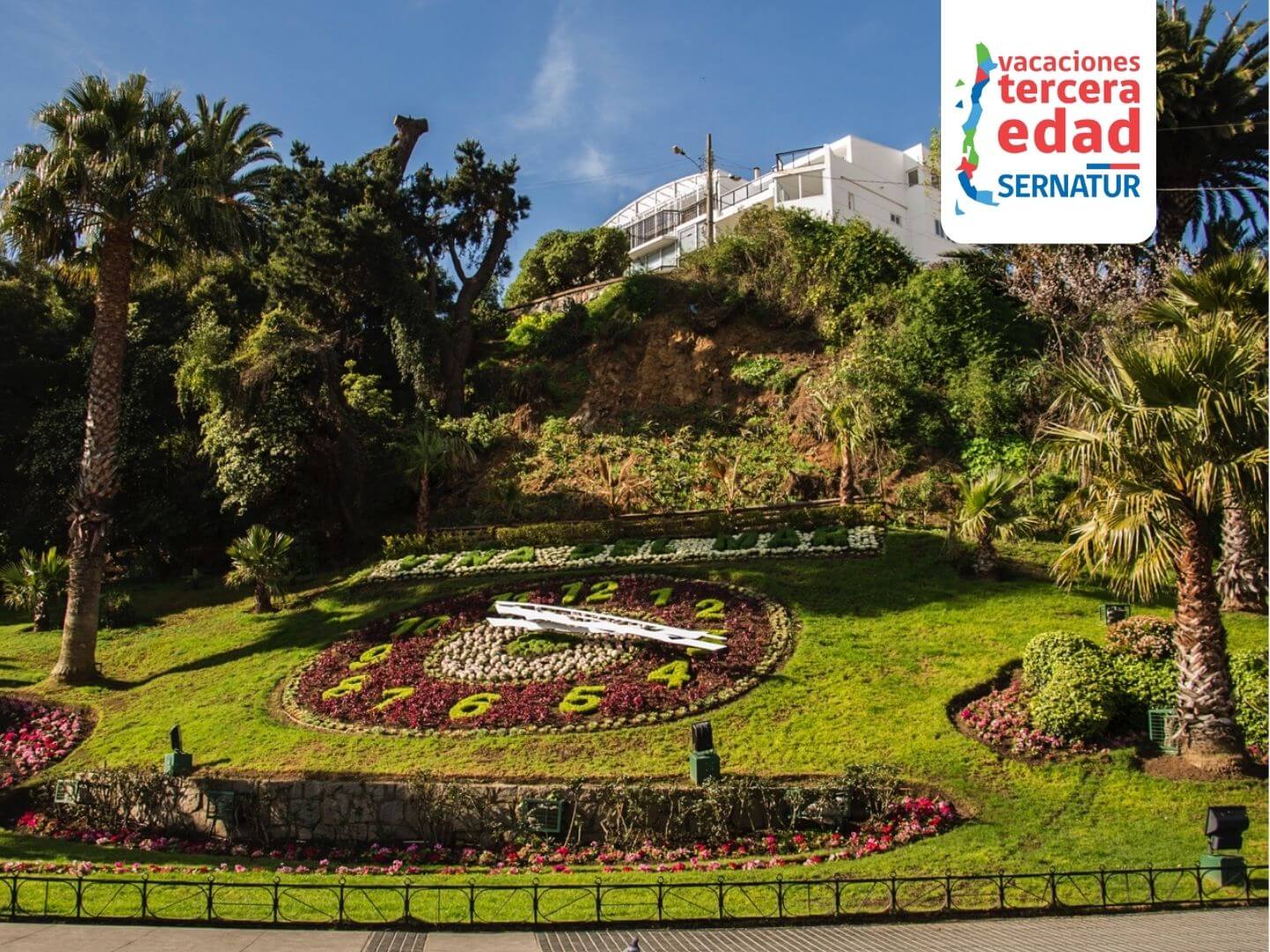 Viña del Mar viajes tercera edad de sernatur